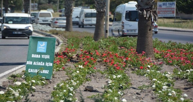 ALİAĞA BELEDİYESİ KARAYOLLARI UHDESİNDE BULUNAN REFÜJ VE KAVŞAKLARI YEŞİLLENDİRİYOR