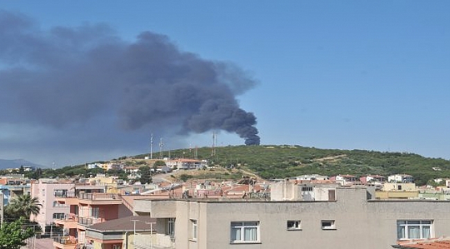 Kirli hava beyni etkiliyor!