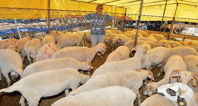 Yasak yerde kurban kesiminin cezası 105 lira