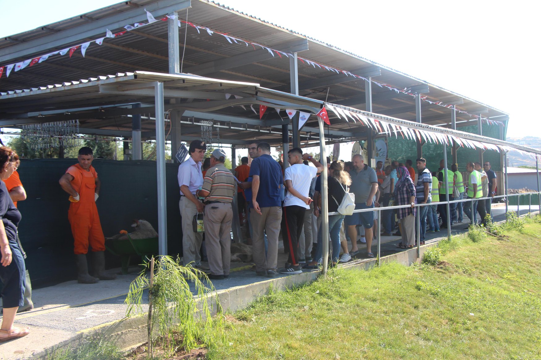 Foça Açık Ceza İnfaz Kurumunca Kurban Satış ve Kesim Organizasyonu