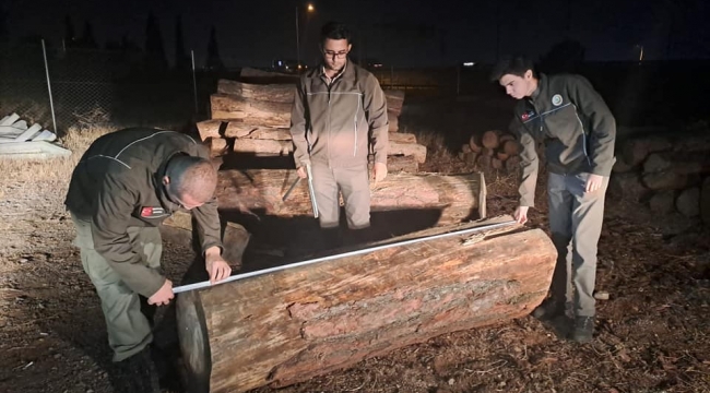 İzmir'de ormanda ağaç kesen 3 kişi suçüstü yakalandı