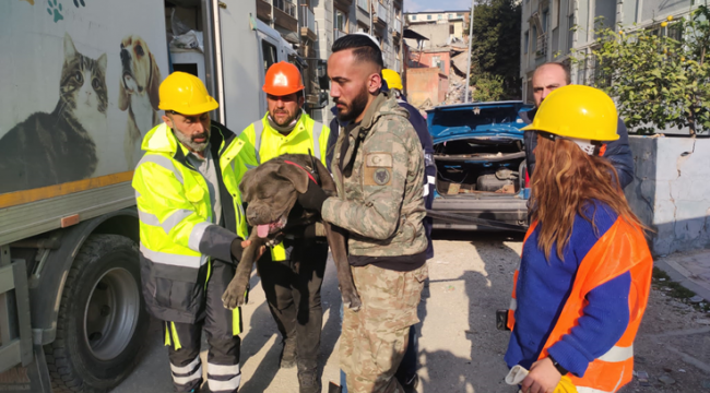 İzmir Büyükşehir Belediyesi depremden etkilenen hayvanları unutmadı