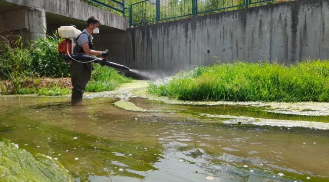 Kütahya genelinde ilaçlama sürüyor