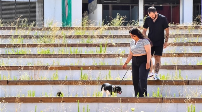 İzmirli gençler Hatay'dan gelen depremzede köpeği sahiplendi