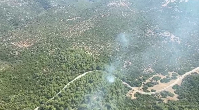 İzmir Selçuk'taki orman yangını kontrol altına alındı