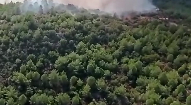 İzmir'deki orman yangını kontrol altında