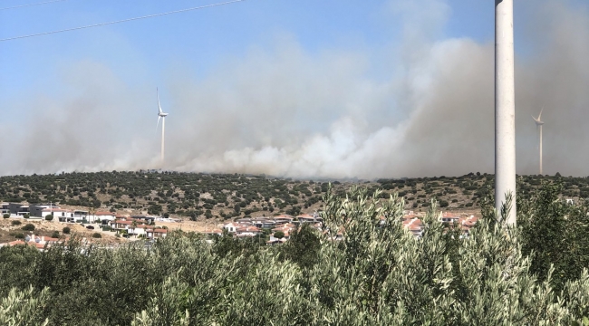 Çeşme Germiyan'da Yangın! Havadan ve karadan müdahale ediliyor