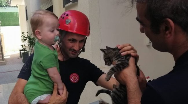 En çok kediler kurtarıldı... İstanbul'da 5 ayda 6 bin hayvan kurtarıldı