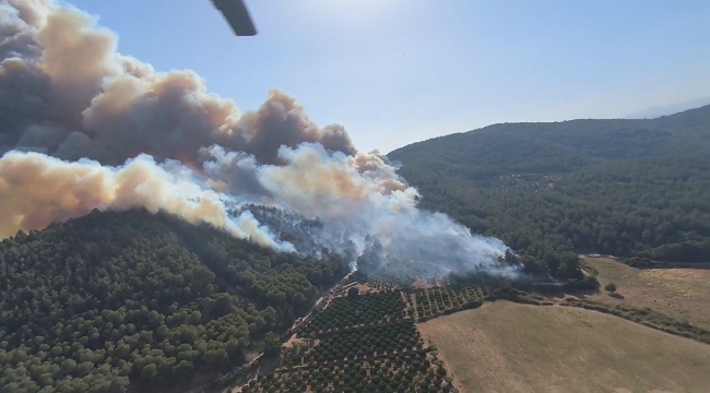İzmir'deki orman yangını