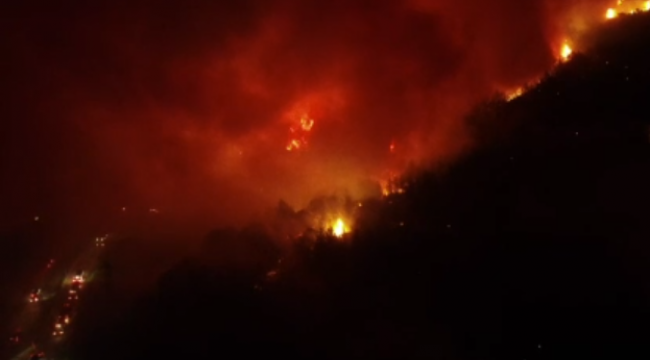 İzmir Selçuk'taki yangın havadan görüntülendi