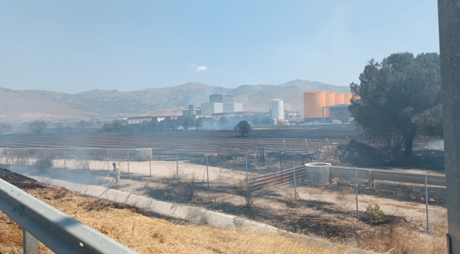 Aliağa'da tarım arazisinde çıkan yangın söndürüldü