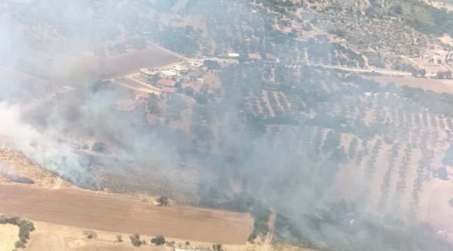 Çeşme ve Urla''da orman yangını