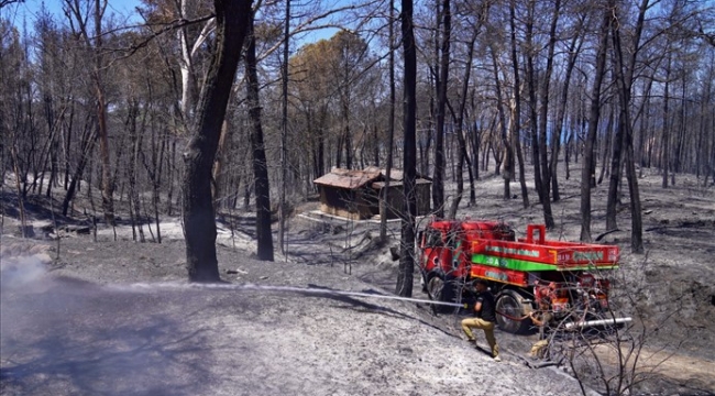 İzmir'in ateş savaşçıları ağaçlar için nöbette