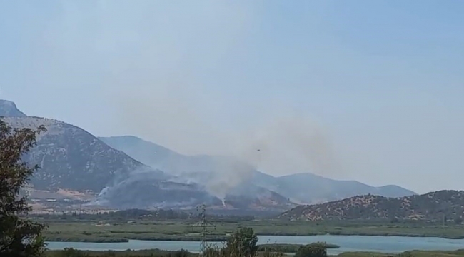 Selçuk'taki orman yangınına havadan ve karadan müdahale