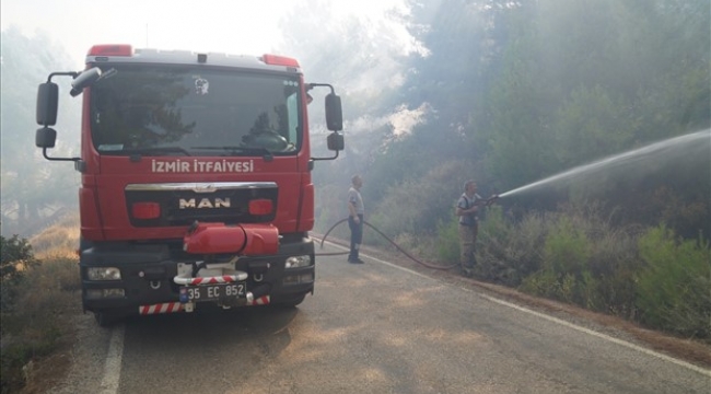 Urla'da çıkan yangına müdahale sürüyor