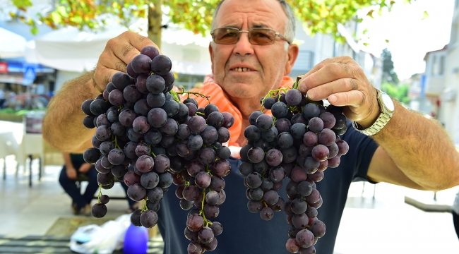 2600 Yıllık Gelenek; Urla Bağbozumu Şenlikleri 