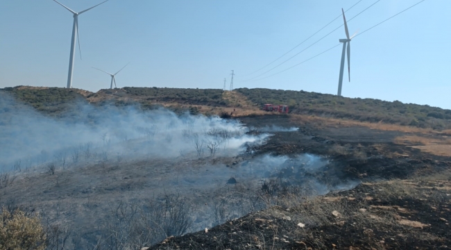 Aliağa'daki orman yangını kontrol altında