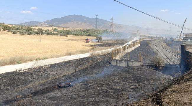 Aliağa 'de Yol kenarına atılan sigara izmariti yangın çıkardı