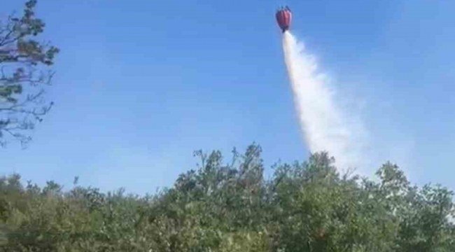 Bergama'daki orman yangını kontrol altında