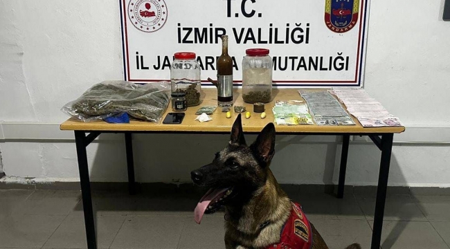 Çeşme'de jandarmadan zehir tacirine şafak operasyonu