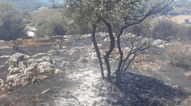 İzmir'de yangın fabrikalara ulaşmadan kontrol altına alındı