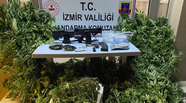 Zeytinlik alanını uyuşturucu tarlasına çeviren zanlı yakalandı