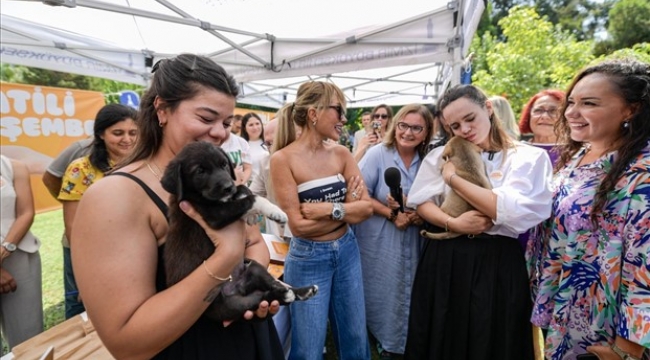 Sahipsiz Köpek Popülasyonu Yönetimi İzmir Eylem Planı hazırlandı