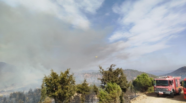 Foça'da Yangın Kontrol Altında: Soğutma Çalışmaları Devam Ediyor