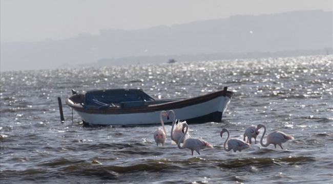 İzmir ve Lübliyana kuraklıkla mücadelede güçlerini birleştiriyor