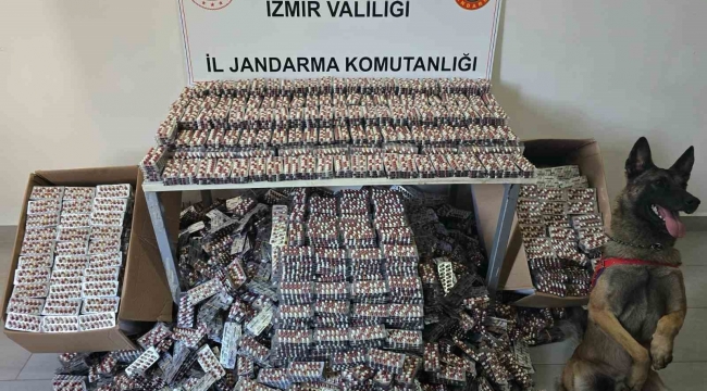  jandarmadan operasyon: 129 bin sentetik hap ele geçirildi