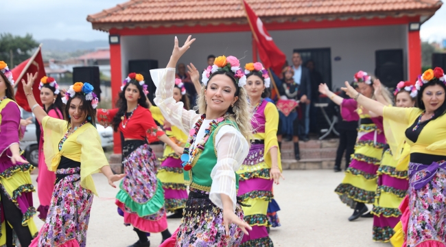 Zeytin Hasadı ilk kez festival olarak kutlandı