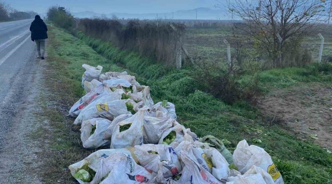 İzmir'de çuval çuval marul çalan 3 şüpheli tutuklandı