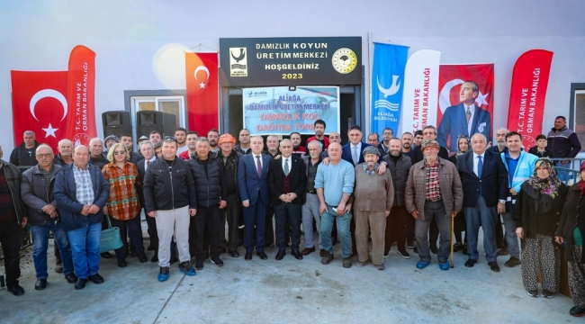 Aliağa Belediyesi Damızlık Koyun Üretim Merkezi'nde İlk Koç Dağıtımı Yapıldı